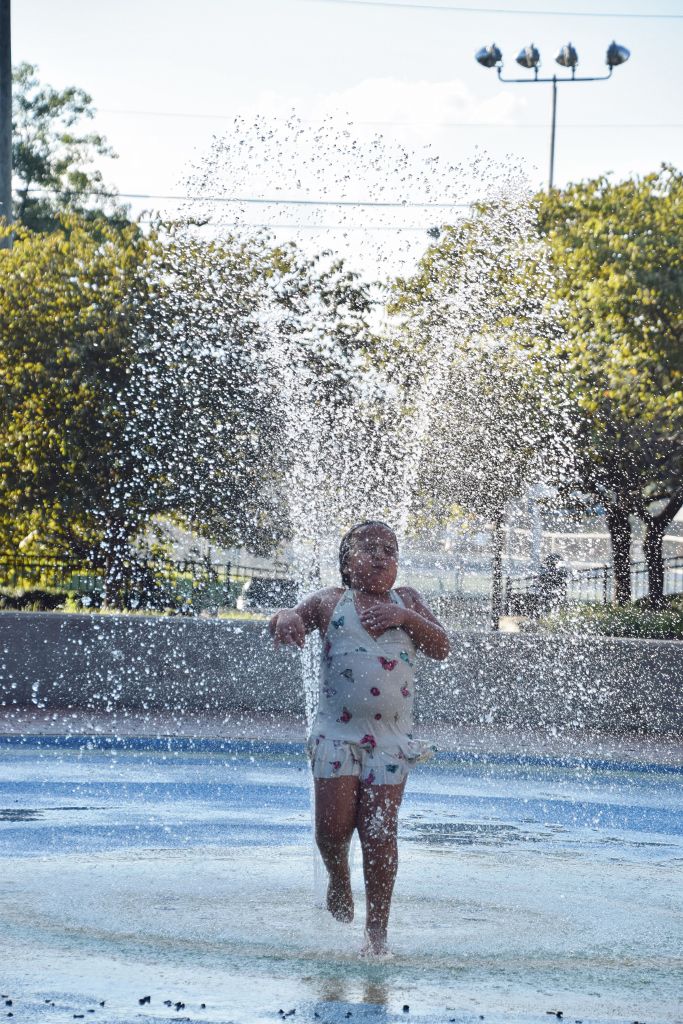 flowers and marthas fountain8-19 016 (683x1024).jpg